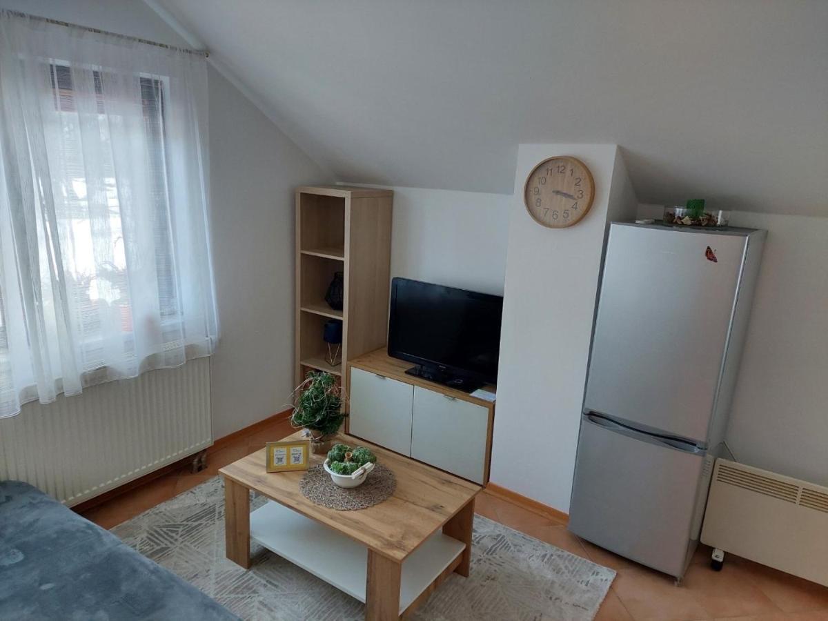 Apartma Anastasija 크라니스카고라 외부 사진